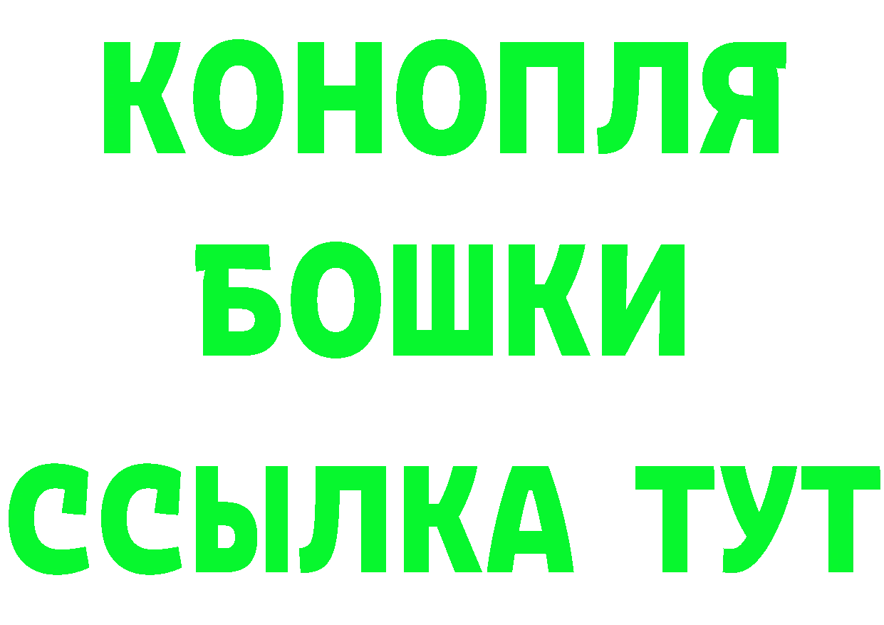 ГАШ гарик маркетплейс shop блэк спрут Кедровый